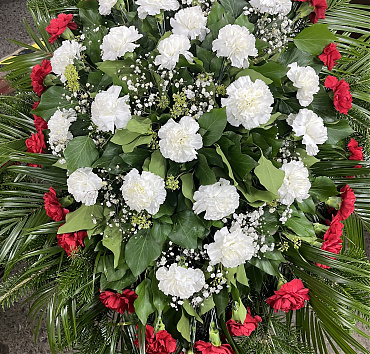 K 9 - Hagyományos Koszorú25 szál piros 20 szál fehér szegfűPálma-Rezgővel szív alakra tűzött virágokkal42.500.-