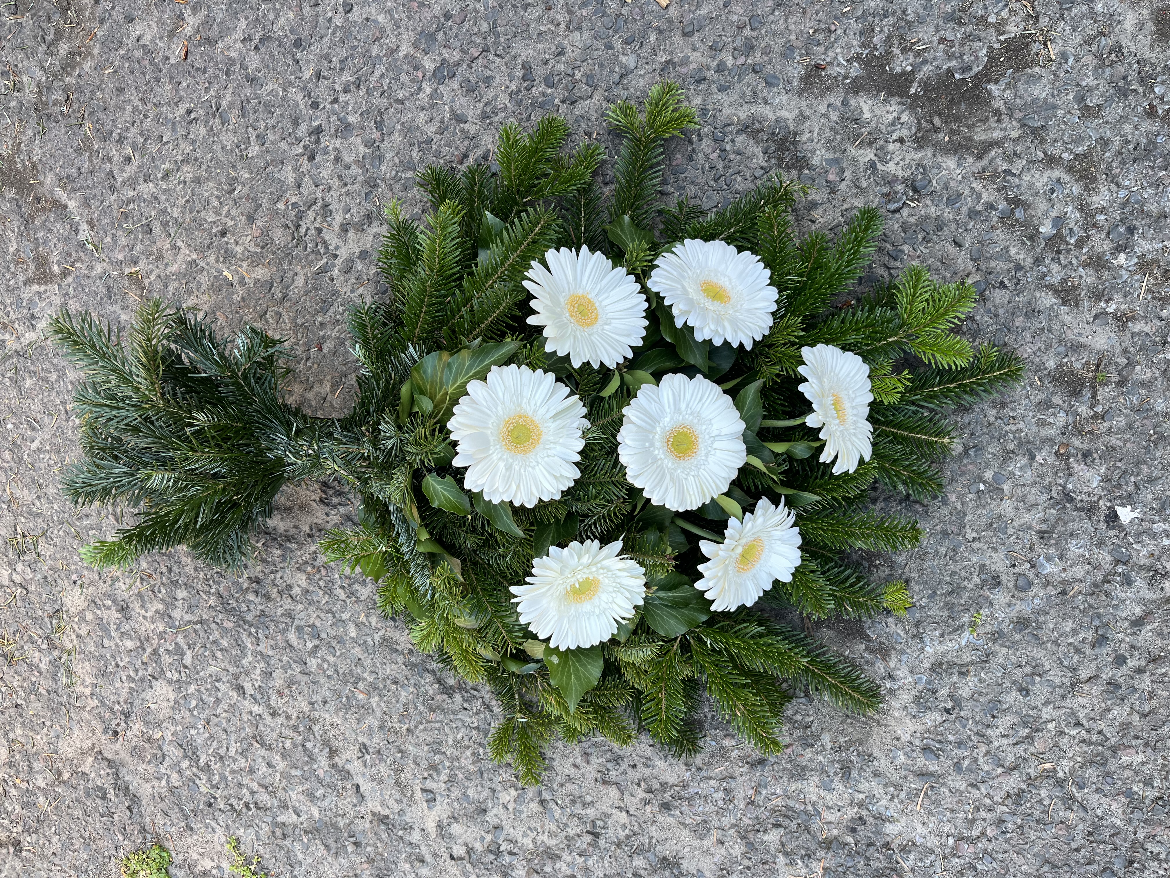 S17 -  Sírcsokor7 szál fehér gerbera8100.-